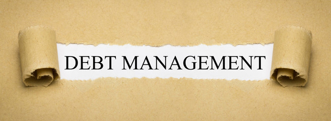 Debt Management