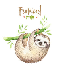Baby animals sloth nursery isolated painting. Watercolor boho tropical drawing, child tropical illustration. cute palm tree leaves, tropic green texture, exotic flower. Aloha drawing © kris_art