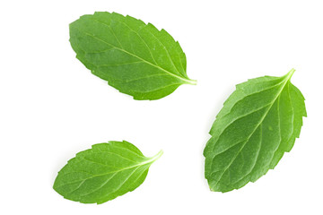 fresh mint leaves isolated on white background