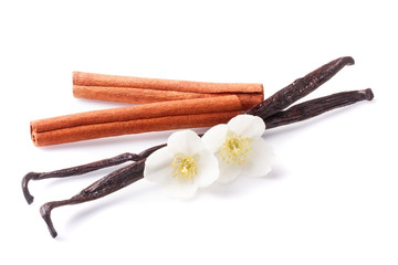 Vanilla sticks and cinnamon with flower isolated on white background