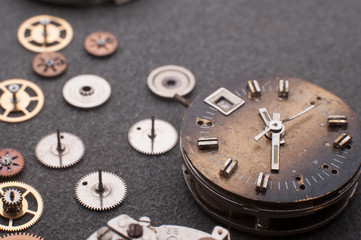 Detail of watch machinery on the table.