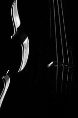 Violin classical music instrument close-up. Stringed musical instrument violin isolated on black...