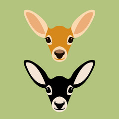 baby Deer head  vector illustration style Flat  set