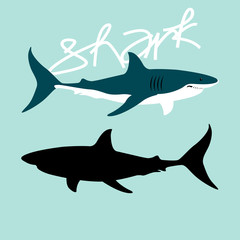 Fototapeta premium Shark color vector illustration style Flat profile black silhouette