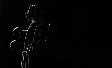 Close-up details of Violin head isolated on black background with copy space. Cello scroll on headstock and tuning pegs.