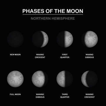 Phases of the moon chart, northern hemisphere, new and full moon, waxing and waning crescent and gibbous, first and third quarter - different shapes of illuminated portions. Vector illustration.