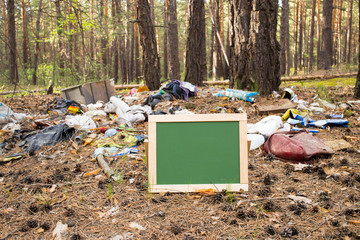 the landfill in the woods