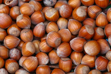 Whole big filbert hazelnuts close up background