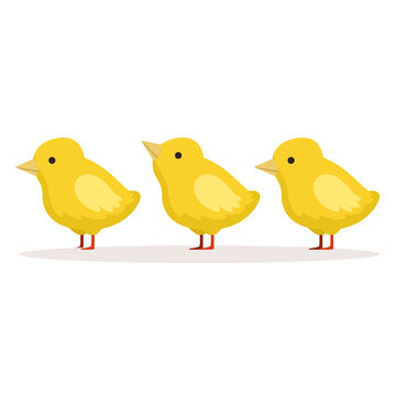 Three cute chickens standing one after another vector Illustration