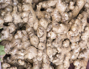 Close up of fresh ginger roots