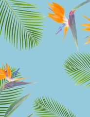 Fototapeta na wymiar tropical flowers and leaves - frame of fresh strelizia bird of paradize flowers and exotic palm leaves on blue background