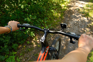 Walking through the forest on a bike in the summer sunny morning. Close-up of hands on bicycle. Sport and nature.
