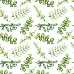Naklejki  Ziołowy wzór akwareli zielonych liści
