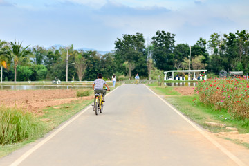 Naklejka premium Back of boy riding bicycle outdoor.