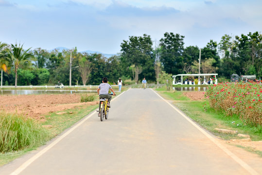 Back of boy riding bicycle outdoor.