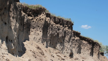 Natural habitat of the sand martin