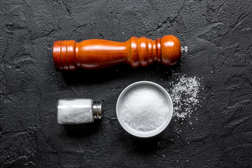 Spices set with salt and saltcellar for cooking on stone background top view