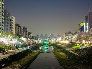 city night scape in seoul korea, cherry blossom