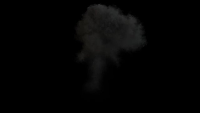 Atom Explosion V1 - Side View 1 - High Quality Fire Explosions with alpha channel