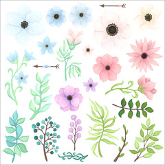 Vector Collection with Flowers, Berries and Green Leaves