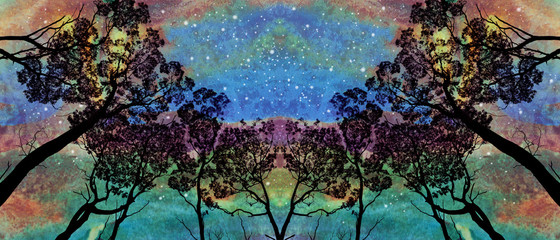 Symmetrical grove of tall gum trees (Eucalyptus) contrasted against a starlit aurora like evening sky. Digitally textured composite image.