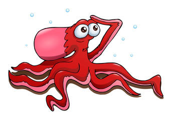 red octopus on isolated white background