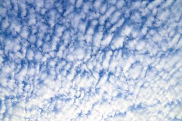 sky Cloud in the holiday summer bright