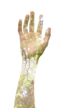 Double exposure of a hand and a tree, representing the power to speak up and stop what is contrary to personal opinion