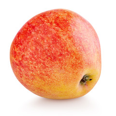 Single ripe red yellow apple fruit isolated on white background