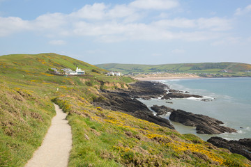Obraz premium Coast path from Croyde to Woolacome Devon England UK in summer with blue sky