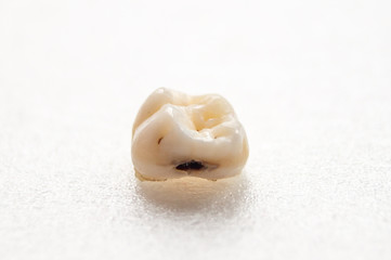 bad tooth isolated