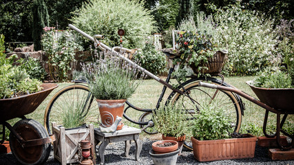 Altes Fahrrad im Garten - 160852207