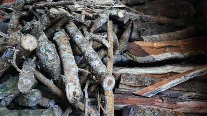 Firewood