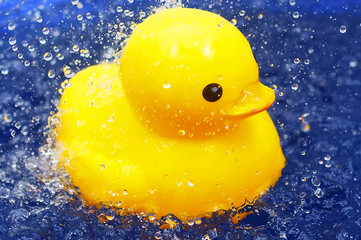 Yellow Duck Toys With Water Splash