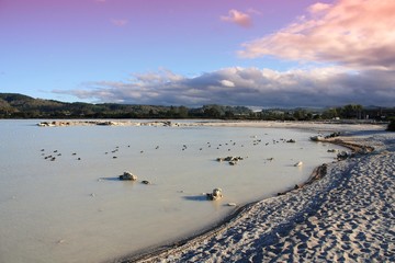 Naklejka premium Lake Rotorua