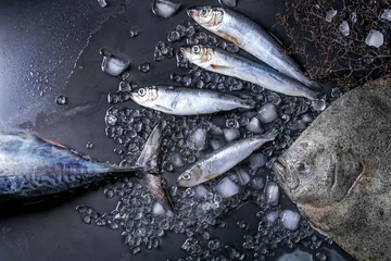 Papier Peint photo Poisson Raw fresh tuna, herring and flounder fish on crushed ice over dark wet metal background. Top view with space