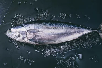 Photo sur Plexiglas Poisson Raw fresh whole tuna fish on crushed ice over dark wet metal background. Top view with space