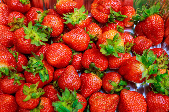 background from freshly harvested strawberries, directly above