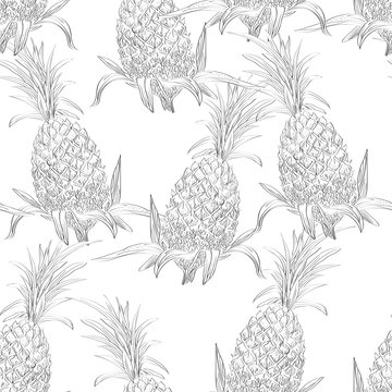 Vector drawn tropical seamless pattern with pineapples in a sketch style. Exotic collection.