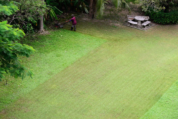 Track of mowing lawn with motion blurred of gardener at home garden.