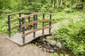 Trail leads to a small wooden bridge over a stream in summer forest.