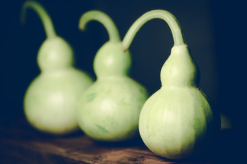 Vintage image and soft light of three fresh bottle gourd or calabash  for cooking on wood with dark...