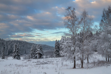 winter forest covered with snow at sunset