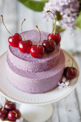 Blueberry mousse cake