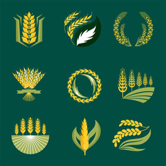 Cereal ears and grains agriculture industry or logo badge design vector food illustration organic natural symbol