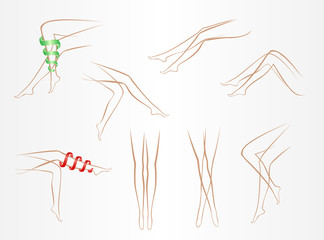 contours of slender female legs in various poses on a light background