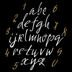 Fototapeta na wymiar Hand drawn elegant calligraphy font. Modern brush lettering. Grunge style alphabet. Vector illustration.