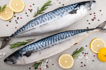 Fresh raw fish closeup. Mackerel with salt, lemon and spices on grey background. Cooking fish with herbs. Top view
