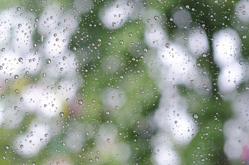 Raindrops on glass and Bokeh of green tree background