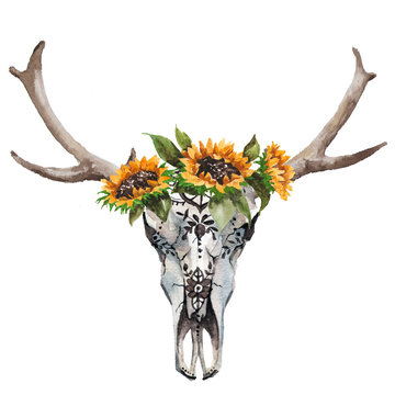 Watercolor isolated bull's head with flowers and feathers on white background. Boho style. Skull for wrapping, wallpaper, t-shir